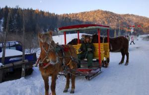 Carriage Rides in China Snow Town