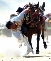 Mongols Horse Show