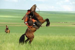Mongols Man on the Horse