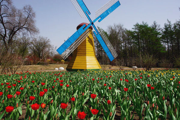 windmill in harbin forest park