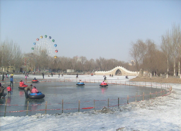 harbin ice sports