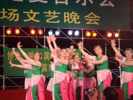 Harbin Summer Music Concert Party