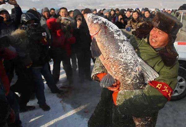 Photo, Image & Picture of Harbin Winter Fishing