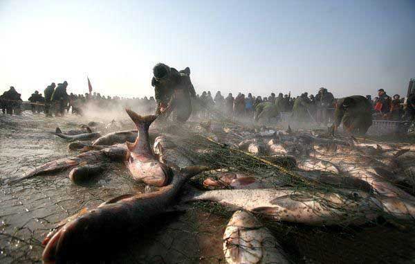 Photo, Image & Picture of Big Fish Harbin