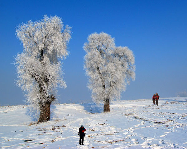 Photo, Image & Picture of Jilin Rime Ice Snow Festival Scene