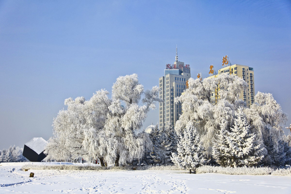 Photo, Image & Picture of Jilin Rime Ice Snow Festival Snow Landscape