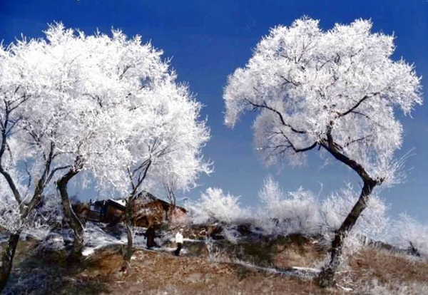 Photo, Image & Picture of Jilin Rime Ice Snow Festival Visit